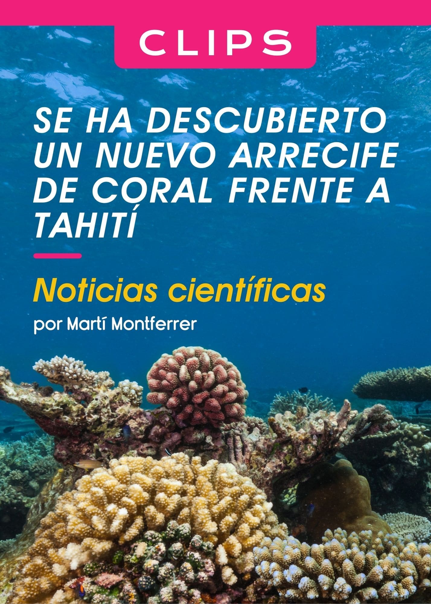Clip, se ha descubierto un nuevo arrecife de coral frente a Tahití