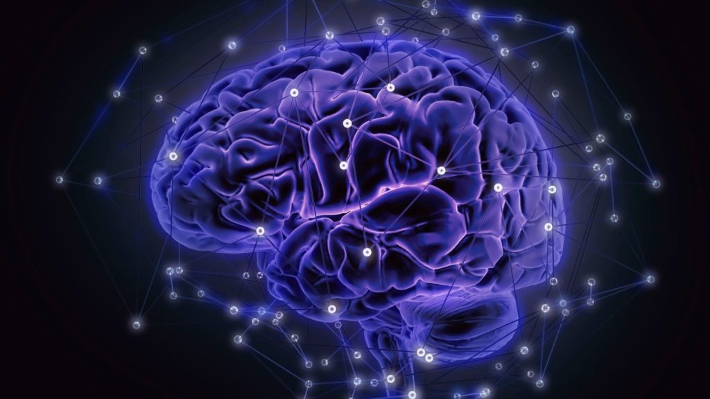 Imagen digital de un cerebro con puntos señalados